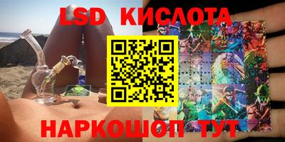 индика Новозыбков
