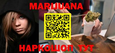 индика Новозыбков