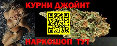 индика Новозыбков