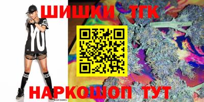 индика Новозыбков